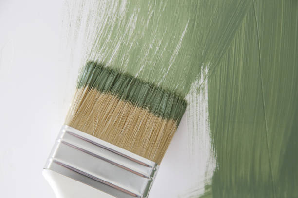  Gresham Park, GA Mold Removal Pros