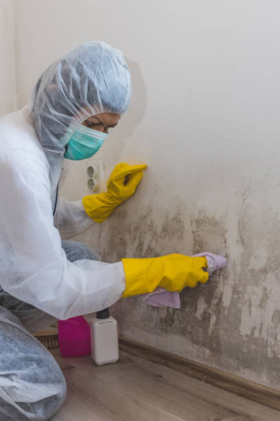 Best Crawl Space Mold Remediation  in Gresham Park, GA