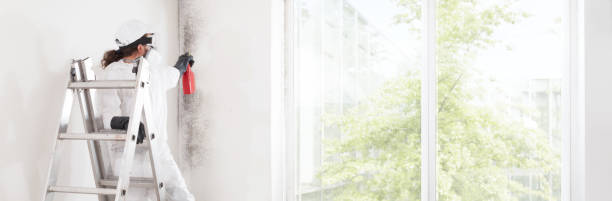 Best Biohazard Mold Removal  in Gresham Park, GA