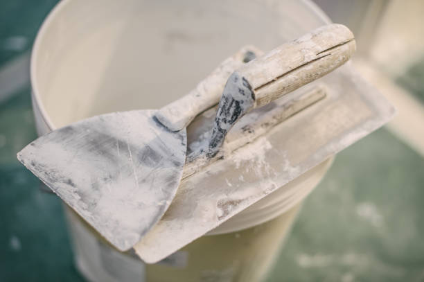 Best Forensic Mold Investigation  in Gresham Park, GA